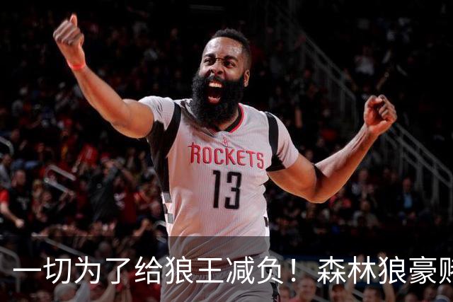 一切为了给狼王减负！森林狼豪赌后场双枪