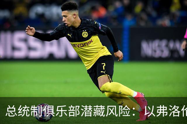 总统制俱乐部潜藏风险：以弗洛伦蒂诺和拉波尔塔为例